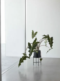 Hübsch Planter Sæt M/ben - Sort 7 Hübsch Planter Sæt M/ben - Sort -Oppbevaringsmøbler Salg 2024 hubsch planter saet mben sort blomsterkasser HU00153 3 06b2