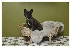 Nordal IRIRI Hundekurv - Rotting -Oppbevaringsmøbler Salg 2024 nordal iriri hundekurv rattan kurve ND01109 5 b688